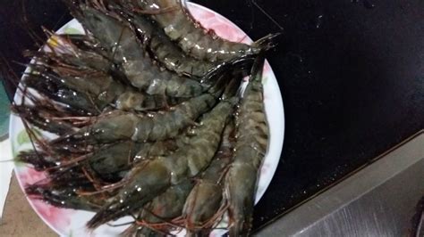 批发越南进口海鲜 深海野生草虾 黑虎虾 6-8规格 品质保证-阿里巴巴