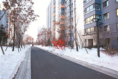 哈尔滨市人民政府 公告提示 哈市公租房新政实现困难群众安居梦