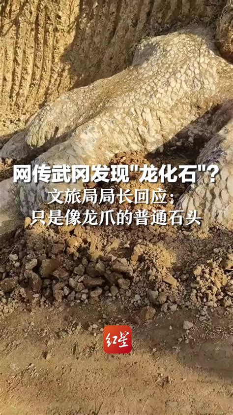 网传武冈发现“龙化石”？文旅局局长回应：只是像龙爪的普通石头_凤凰网视频_凤凰网