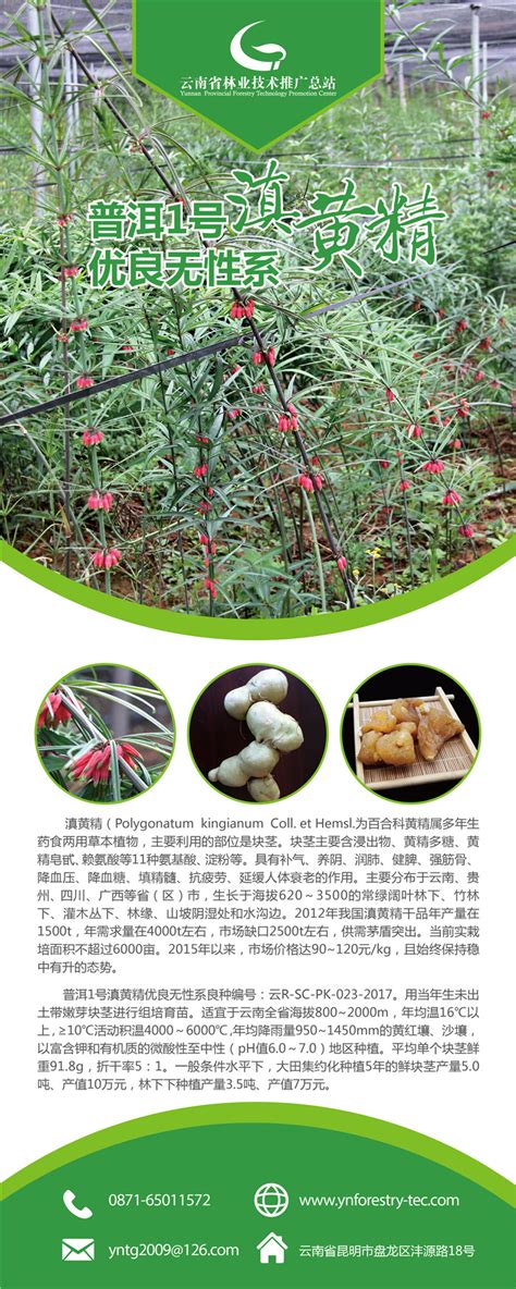 云南省著名商标、普洱市古普洱茶业有限责任公司