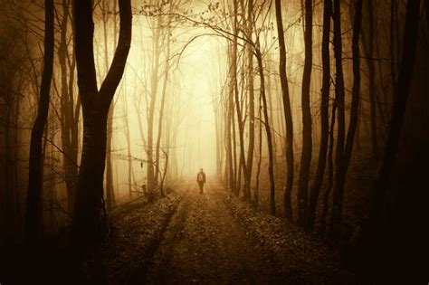 森林里落叶形成的小路图片-一个人行走在秋天有雾的森林小路上素材-高清图片-摄影照片-寻图免费打包下载