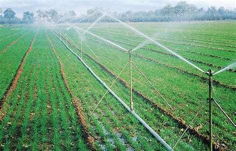 农业灌溉设备_农业灌溉设备价格_优质农业灌溉设备批发/采购商机 - 搜好货网