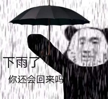 求雨表情图片