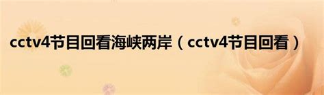 cctv4节目回看海峡两岸（cctv4节目回看）_重庆尹可科学教育网