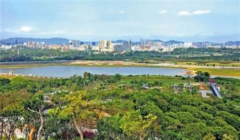 2024宝安西湾红树林公园游玩攻略,西湾红树林是深圳最美城市湿...【去哪儿攻略】