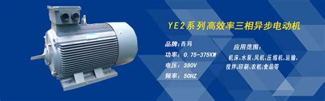 电机厂销售YE3-315M-4 132KW/380V 立式电机价格咨询|安装尺寸|样本下载-交流电机-西安西玛电机厂