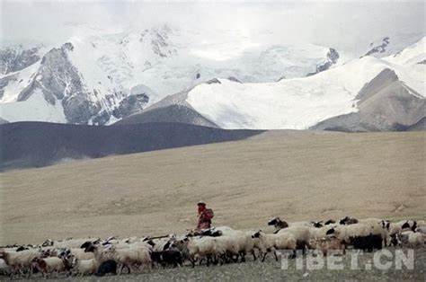 西藏高原反应, 如何缓解高原反应, 高原反应是什么？-西藏旅游攻略网