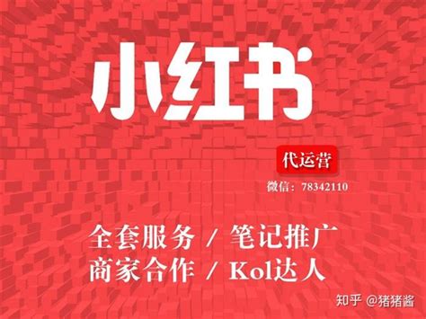 2021小红书投放运营指南书【电商运营】 - 方案库