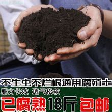 黑色土壤泥土素材图片免费下载-千库网