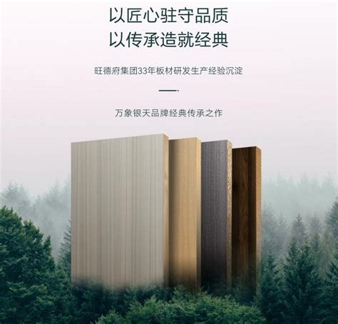 花色世界-上海惟嘉经贸有限公司——爱格产品系列：木质基础板材，如刨花板，定向刨花板和密度板