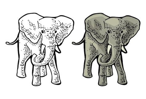 Elefant-gravur vintage-vektor-farbabbildung isoliert auf weißem ...
