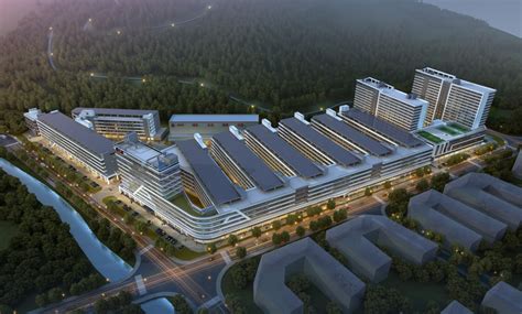 鹿城：建设新型消费城市 激活经济增长新动能-新闻中心-温州网