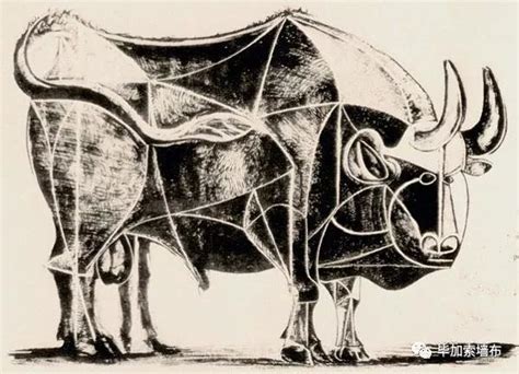 毕加索牛的演变,毕加索的牛的变形,毕加索的牛系列(第5页)_大山谷图库