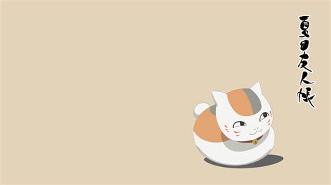 猫咪老师图片