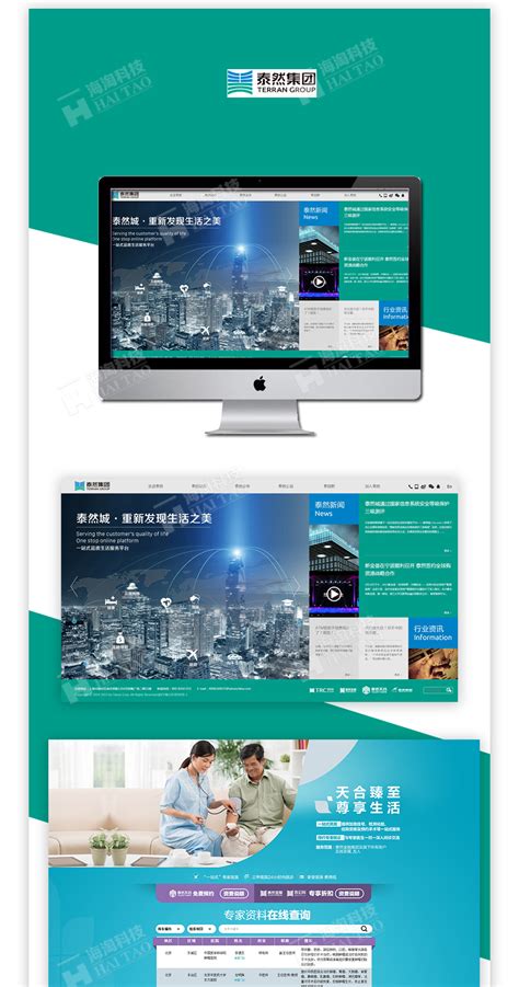 2017集团网站建设案例,泰然集团网站设计案例-海淘科技