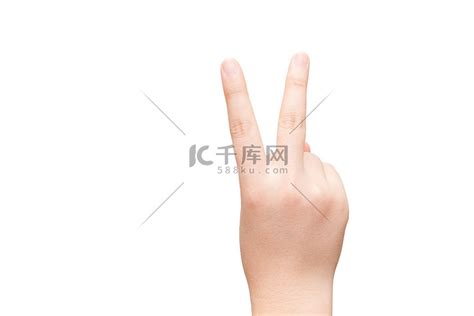 双根图片