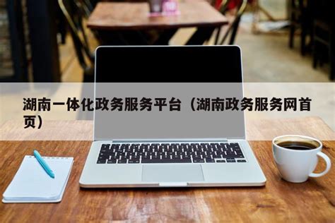湖南一体化政务服务平台（湖南政务服务网首页）-app开发者内容-FinClip