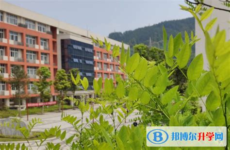 重庆市武隆中学2024年招生计划