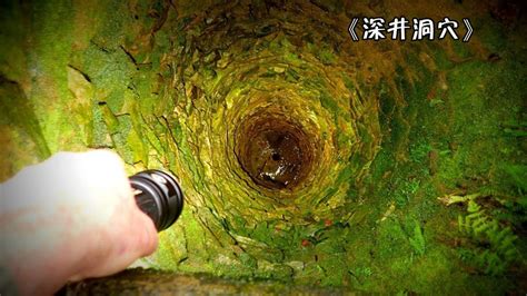 中国的洞穴鱼类——物种多样性和保护_www.isenlin.cn
