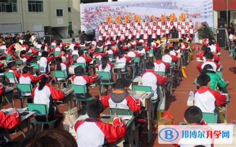 四川省合江县中学校2023年招生代码