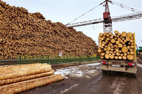 2022年中国木材加工行业发展现状分析 木材对外依存度整体维持较高水平_行业新闻_资讯_整木网