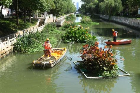 安徽阜阳：加大水环境治理 水上有了“小花园”-人民图片网