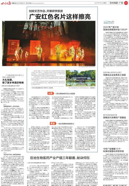 广安“项目攻坚年”处处见行动---四川日报电子版