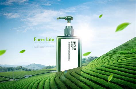 绿茶洗发水/沐浴露产品广告主题图形psd模板 – 设计小咖