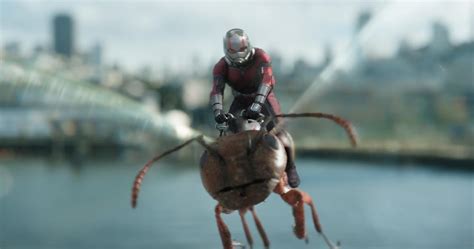 《蚁人2:黄蜂女现身》-高清电影-完整版在线观看