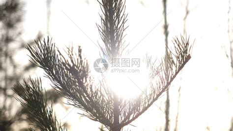 刺眼阳光背景图图片