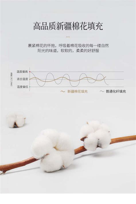 A类全棉被芯 新疆优质棉花被冬季保暖被芯 - 理想家居上安客利