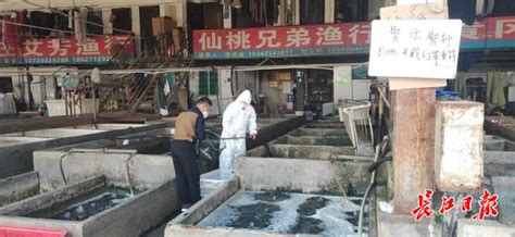白沙洲大市场18年守护市民“菜篮子”-武汉市农业农村局