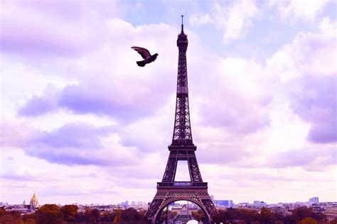 全世界情侣向往的地方，浪漫之都巴黎！_凤凰网视频_凤凰网