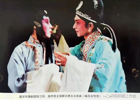豫剧大师陈素真谈《麻风女传奇》（即《女贞花》）-河南文化网