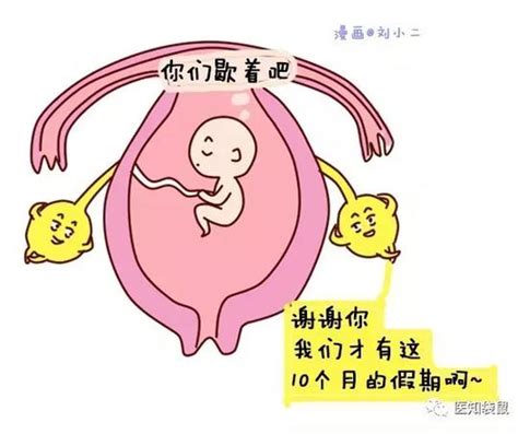 怎样才能自然促排双卵？试管婴儿双胞胎为你圆梦！-上海试管婴儿好孕机构