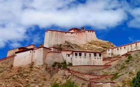 青稞的垂直分布，在海拔4750米的西藏日喀则市南部达到生长的极限_凤凰网视频_凤凰网