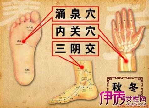 三阴交位置图图片