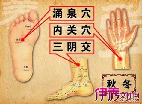 鱼际、合谷、足三里、三阴交、昆仑、后溪，十二正经上的重要穴位_作用