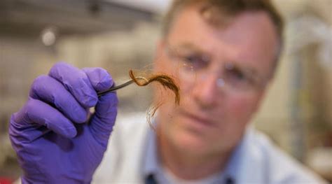 提不到DNA？头发蛋白质也能透露身份的秘密| 果壳 科技有意思