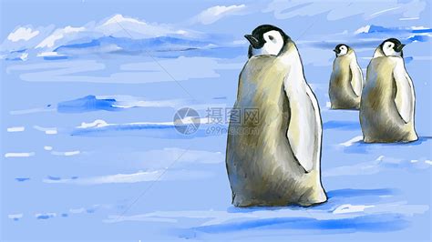 企鹅儿童水墨画画法步骤图示- 小南美术网