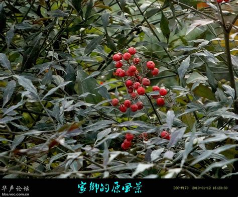 种子也可以色彩斑斓：探访中国第一个种子博物馆