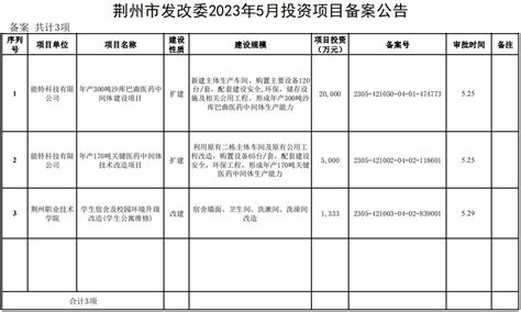 2023年2月投资项目备案公告-荆州市人民政府-政府信息公开
