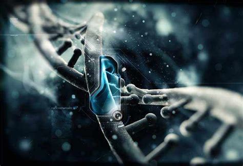 Science发布首个人类基因组“全分辨率”遗传图谱，揭示了人类遗传多样性机制_凤凰网健康_凤凰网