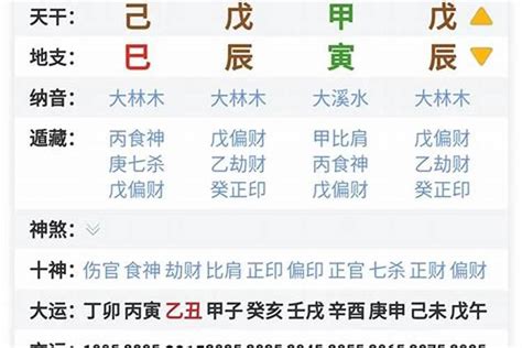 深圳大学40周年校庆之“跃动跑，迎校庆”系列活动正式启动凤凰网广东_凤凰网