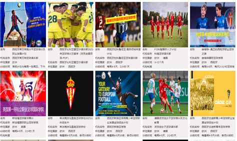 欧洲足球俱乐部的标志高清摄影大图-千库网