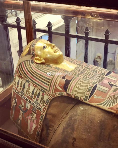 开罗第一站，直奔世上收藏法老遗物最多的博物馆——埃及博物馆|埃及博物馆|法老|博物馆_新浪新闻