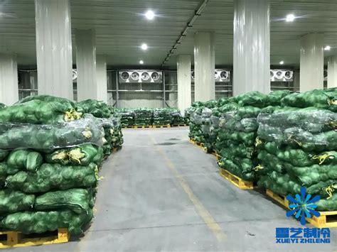 蔬菜冷库设计温度及方法介绍_上海雪艺制冷科技发展有限公司