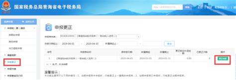 青海省电子税务局登录入口