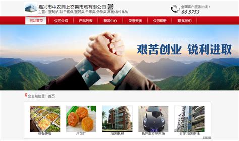 嘉兴秀洲中农网：为乡村振兴新添“电商新动力”-中国网