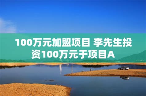 100万元加盟项目 李先生投资100万元于项目A - 烈聘百科